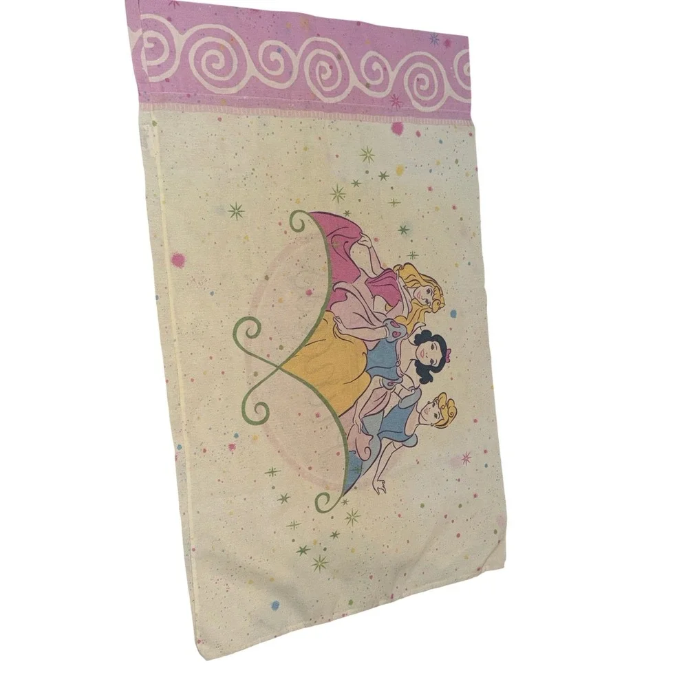Disney home standard